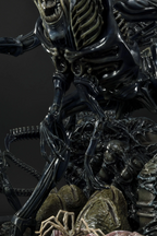 Queen Alien Battle Diorama – Aliens: Rogue - 281/300 Limited Edition