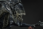 Queen Alien Battle Diorama – Aliens: Rogue - 281/300 Limited Edition