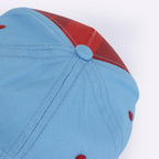 Marvel Baseball Cap Spider-Man A Assortment (12)