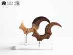 Jurassic Park ECC Elite Creature Line Statue Velociraptor Foot Claw and Fossil Claw Set 20 cm