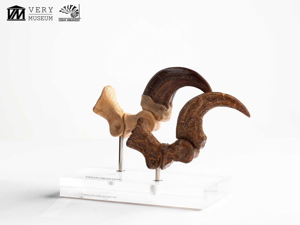 Jurassic Park ECC Elite Creature Line Statue Velociraptor Foot Claw and Fossil Claw Set 20 cm