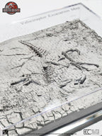 Jurassic Park III Excavation Map Velociraptor 27 cm