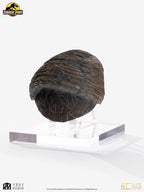 Jurassic Park 1/1 Replica Triceratops Toenail 16 cm