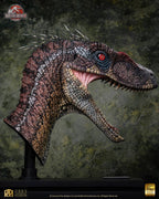 Jurassic Park III Life Size Bust Male Alpha Velociraptor "Blood Knight" 83 cm