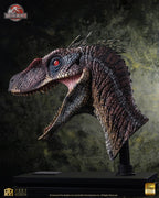 Jurassic Park III Life Size Bust Male Alpha Velociraptor "Blood Knight" 83 cm