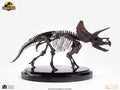 Jurassic Park Statue 1/24 Triceratops Fossil Skeleton Bronze 35 cm