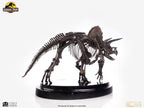 Jurassic Park Statue 1/24 Triceratops Fossil Skeleton Bronze 35 cm