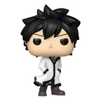 Fairy Tail 100 Year Quest POP! Animation Vinyl Figures Gray w/Chase 9 cm Assortment (6)