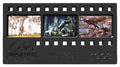 Jurassic Park Ingot Metal Film Strip Collectible 12 cm