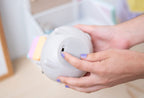 Pusheen Lamp with USB-C Gamer