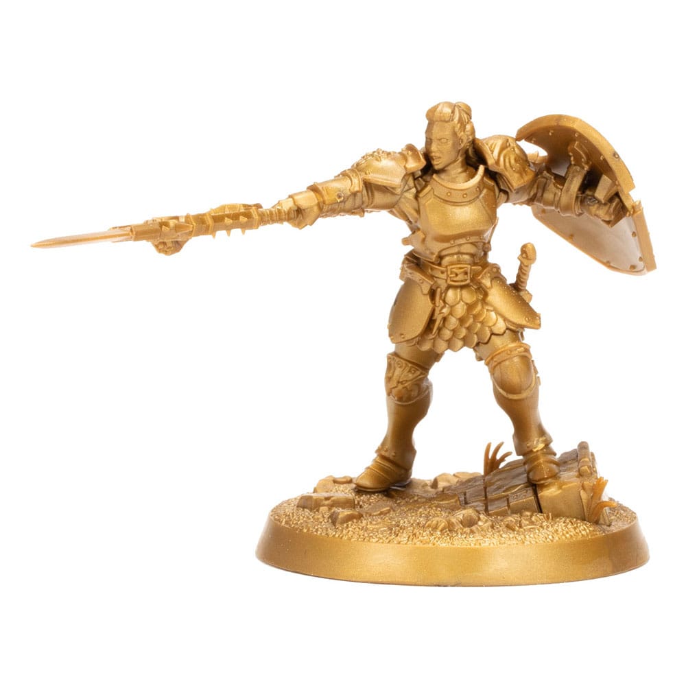 Warhammer Age of Sigmar Miniatures Warhammer Heroes: Stormcast Eternals Display (8)