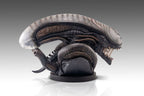 Alien Romulus Bust 1/1 Xenomorph 53 cm