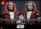 Star Wars: The Clone Wars Television Masterpiece Action Figure 1/6 Saesee Tiin (Clone Armor) (Hot Toys Exclusive) 32 cm