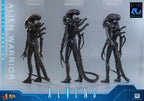 Alien Movie Masterpiece Action Figure 1/6 Alien Warrior (Deluxe Version) 39 cm