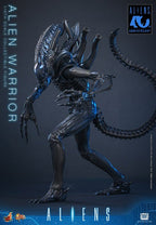 Alien Movie Masterpiece Action Figure 1/6 Alien Warrior 39 cm