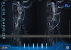 Alien Movie Masterpiece Action Figure 1/6 Alien Warrior 39 cm