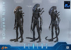 Alien Movie Masterpiece Action Figure 1/6 Alien Warrior 39 cm
