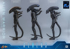 Alien Movie Masterpiece Action Figure 1/6 Alien Warrior 39 cm