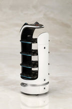 Pudu Robotics Plastic Model Kit Bellabot 11 cm