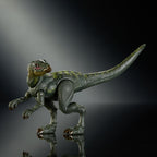Jurassic World Hammond Collection Action Figure Hypsilophodon