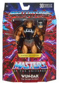 Masters of the Universe Masterverse Action Figure Vintage Collection: Wun-Dar 18 cm