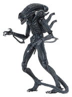 Aliens Ultimate Action Figure Warrior (1986) Blue 23 cm