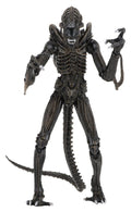 Aliens Ultimate Action Figure Warrior (1986) Brown 23 cm