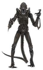 Aliens Ultimate Action Figure Warrior (1986) Brown 23 cm