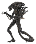 Aliens Ultimate Action Figure Warrior (1986) Brown 23 cm