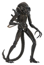 Aliens Ultimate Action Figure Warrior (1986) Brown 23 cm