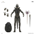 Alien: Earth Ultimate Action Figure Xenomorph 18 cm