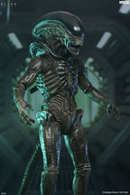 Alien: Earth Ultimate Action Figure Xenomorph 18 cm