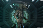 Alien: Earth Ultimate Action Figure Xenomorph 18 cm