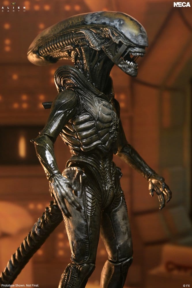 Alien: Earth Ultimate Action Figure Wendy's Xenomorph 18 cm