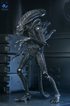 Aliens Ultimate Action Figure Warrior (1986) Xenomorph Black (40th Anniversary) 23 cm