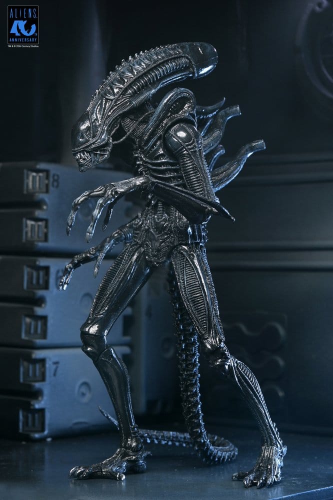 Aliens Ultimate Action Figure Warrior (1986) Xenomorph Black (40th Anniversary) 23 cm