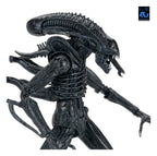 Aliens Ultimate Action Figure Warrior (1986) Xenomorph Black (40th Anniversary) 23 cm