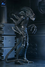 Aliens Ultimate Action Figure Warrior (1986) Xenomorph Black (40th Anniversary) 23 cm