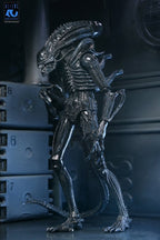 Aliens Ultimate Action Figure Warrior (1986) Xenomorph Black (40th Anniversary) 23 cm