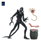 Aliens Ultimate Action Figure Warrior (1986) Xenomorph Black (40th Anniversary) 23 cm
