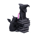 Cult Cuties Figure Curious Cauldron 18 cm