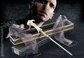 Harry Potter - Voldemort´s Wand