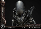 Alien (Film) Museum Masterline XL Statue 1/3 Big Chap Xenomorph Close Up Shot Ver. 100 cm