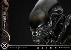Alien Museum Masterline XL Statue 1/3 Big Chap Xenomorph Regular Ver. Bonus Version 100 cm