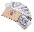 Lord of the Rings Postcards Set Concept Art by Alan Lee: The Lord of the Rings 15 x 12 cm