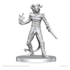 Pathfinder Deep Cuts Unpainted Miniatures Vordine (Infantry Devil) & Pitborn Rogue