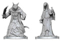 Pathfinder Battles Deep Cuts Unpainted Miniature Zyss & Aapoph Serpentfolk 13 cm