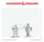 Dungeons & Dragons Nolzur's Marvelous Miniatures Unpainted Miniature Cultist Fanatic & Hierophant 14 cm